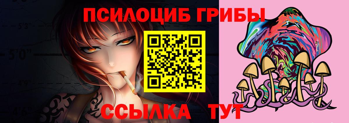 Галлюциногенные грибы Psilocybe Москва
